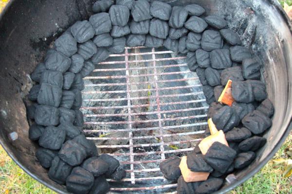 خرید مستقیم زغال قالبی