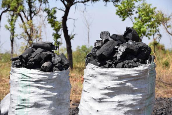 اطلاعاتی درباره زغال کبابی