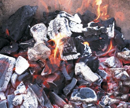 خرید عمده زغال کبابی شمال