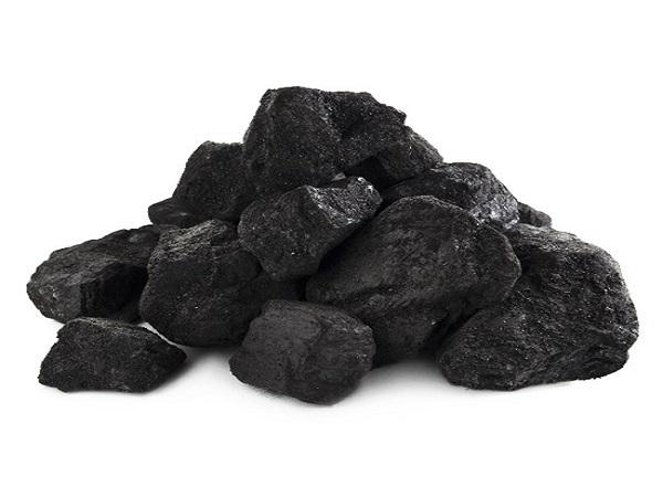 عرضه کننده زغال کبابی درجه یک اعلا