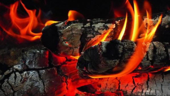 مرکز فروش زغال کبابی تبریز