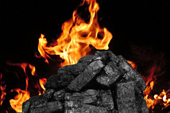 تاثیر گذارترین عوامل بر قیمت زغال کبابی