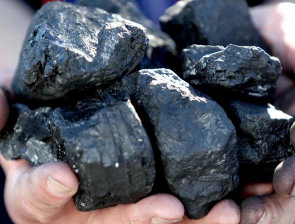 قیمت فروش زغال مشهد