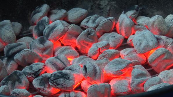 عوامل موثر بر قیمت زغال باربیکیو